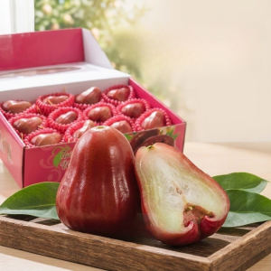 黑珍珠蓮霧禮盒 黑珍珠蓮霧禮盒