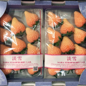 日本淡雪草莓