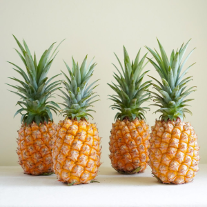 金鑽鳳梨 金鑽鳳梨