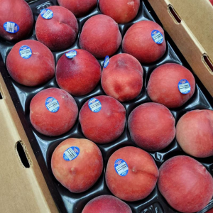 美加水蜜桃 美加水蜜桃