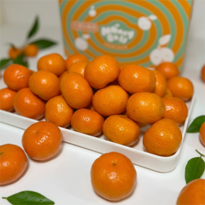 砂糖橘禮盒 砂糖橘禮盒