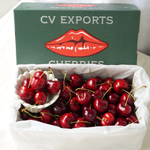 大嘴巴櫻桃 大嘴巴櫻桃