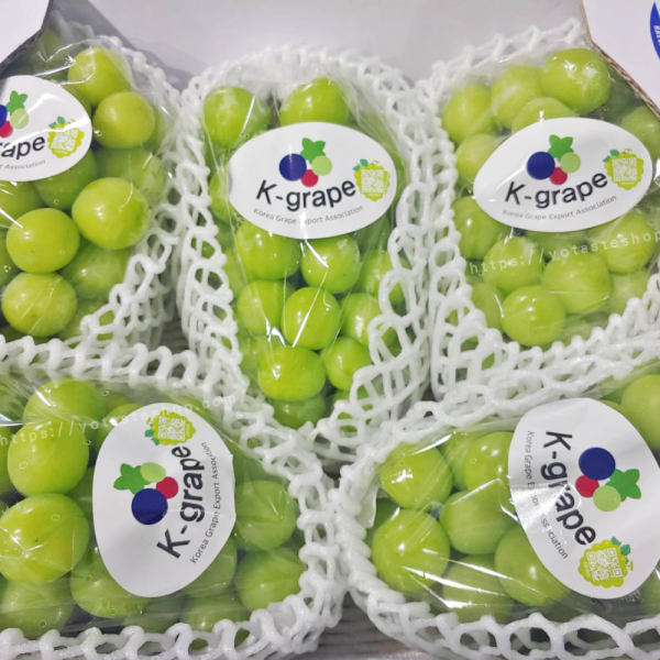 韓國麝香葡萄 韓國麝香葡萄